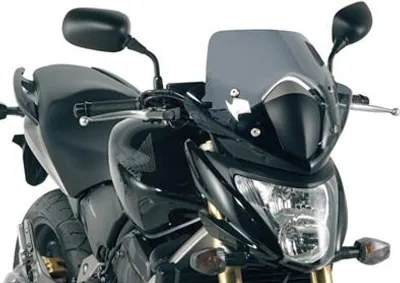 Produktbild von Fensterleuchte Für Honda Cb 600 Hornet (07-10) 33,5 X40,5 Cm Diamant Mit Befestigungen