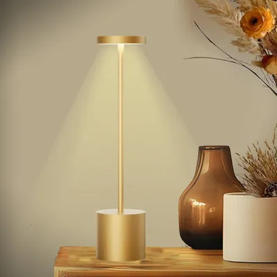 A gold LED table lamp with a touch function is displayed on a wooden surface, next to decorative vases and dried flowers.