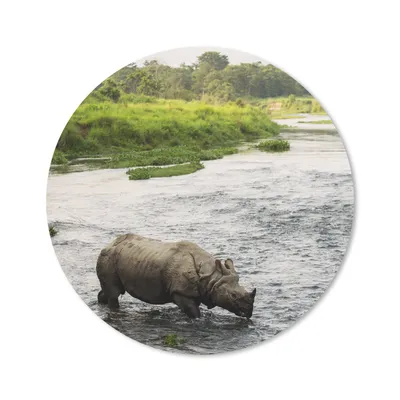 Produktbild von MuchoWow® Mauspad Mousepad Nashorn im Wasser 50x50 cm - Mousepads - Maus Mat - Pad - Mausunterlage - Vinyl