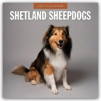 Produktbild von Shetland Sheepdogs - Sheltie 2027 - 16-Monatskalender