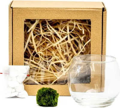 Obrázek produktu pro Gardners Skleněná váza boule 8 cm a 1 řasokoule v dárkovém balení