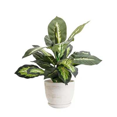 Image de Pot de fleurs en céramique rond avec soucoupe gris clair 13 cm brillant avec trou de drainage