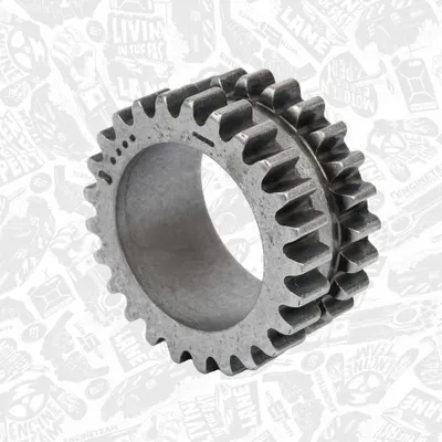 Image de ET ENGINETEAM Pignon de vilebrequin RG0029 pour VW GOLF VI (5K1)