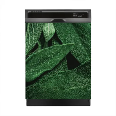 Produktbild von Aufkleber sticker 60x70 cm Dekorative folie Spülmaschine - frischem Salbei