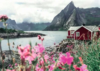 Image de Puzzle Reine 1000 pièces. Lofoten. Norvège (Points forts). Adultes et enfants. À partir de 14 ans. 12000112. Ravensburger