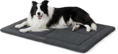 Immagine prodotto di Tappetino lavabile per cani, grigio medio, 89x58 cm, imbottitura in schiuma ad alta densità