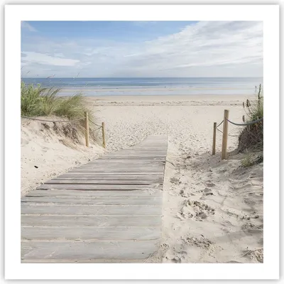 Produktbild von Poster - Poster ohne Rahmen - Strand Düne Eintritt - 60x60 cm - Wand Bild - Wanddeko - Wandbilder - Kunstposter - Wandposter - Bilder - Kunstdruck - Wanddekoration - Wandbild - P2XAC60x60-4188