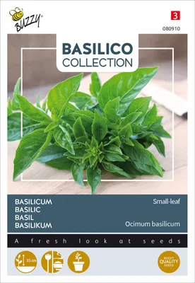 Artikelbild 2 von 'Basilikum Small-leaf' aus der Kategorie Basilikumsamen