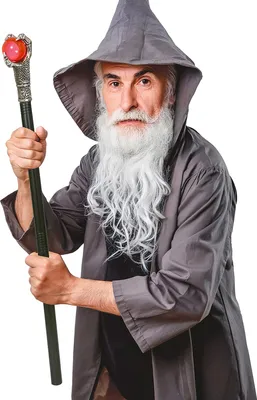 Produktbild von Mittelalter Magier Stock Mystischer Zauberer Stab Zerlegbar Roter Kristall Karneval Accessoire, Farbe: Schwarz / Silber