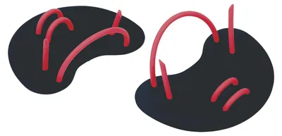 Produktbild von Aquafeel 428120 Schwimmflossen Schwarz  Schwarz One Size