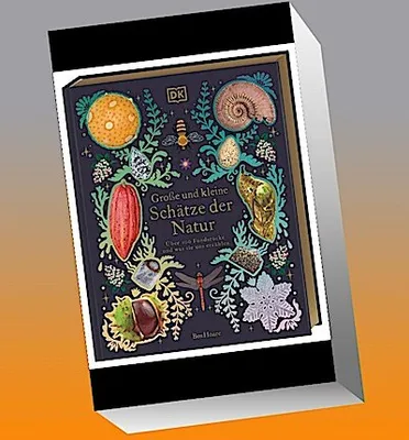 Produktbild von Große und kleine Schätze der Natur. Große und kleine Schätze der Natur