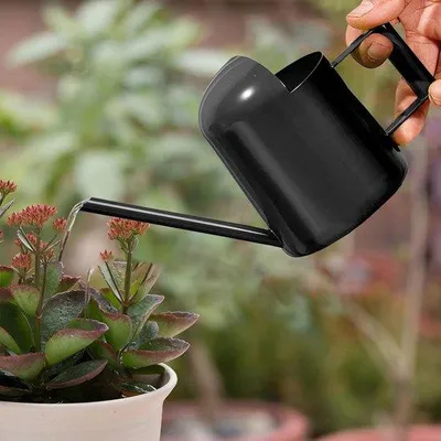 Produktbild von Mini Gießkanne 300 ml mit langer Tülle - für Zimmerpflanzen und Bonsai