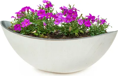 Produktbild von Große Pflanzschale oval 34 cm für draussen Dekoschale creme-weiss