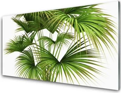 Produktbild von Acrylglasbilder 100x50 Wandbild Druck Blätter Pflanzen