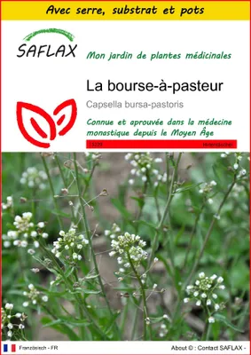 Image de SAFLAX Ensemble de culture - La bourse-à-pasteur - 1000 graines - Capsella