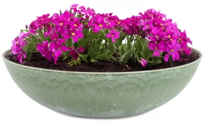 Produktbild von Pflanzschale für draussen Dekoschale rund grün Vintage 20 cm