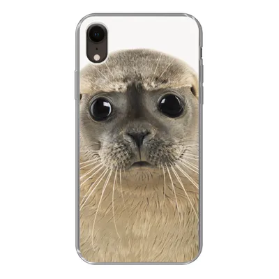 Produktbild von MuchoWow® Handyhülle Schutzhülle Hülle für iPhone XR Jungen - Robbe - Kinder - Mädchen - Tiere Silikon Softcase Handy Hülle - Schutzdeckel