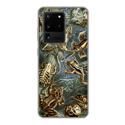 Produktbild von MuchoWow® Handyhülle Schutzhülle Hülle für Samsung Galaxy S20 Ultra Batrachia - Haeckel - Alte Meister Silikon Softcase Handy Hülle - Karteninhaber