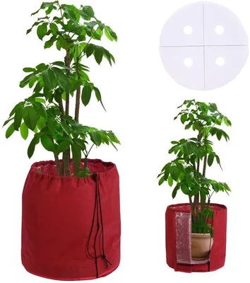 Productafbeelding van Thermische beschermingsbox voor buitenplanten, dubbel geïsoleerd, winterbescherming voor planten tegen vorst en vocht, met afwateringssysteem, rood, 65x70 cm