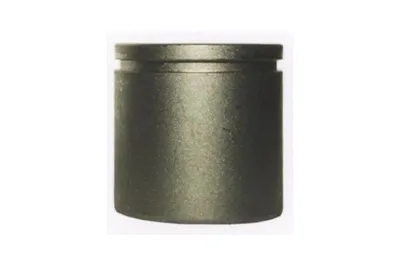 Produktbild von NK Bremskolben Ø 48 mm Vorne (8699076) für Peugeot 305 II 405 I 309 106 205 306