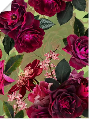 Produktbild von ARTland Poster Dunkle Rosen auf Grün Größe: 30x40 cm