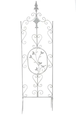 Image de Arches de roses