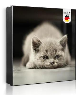Zdjęcie produktu dla banjado metalowa szafka na klucze, duża 30x30 cm z 32 haczykami, może służyć jako tablica magnetyczna, czarny korpus, zawias po lewej stronie, Theodor [SKG2 12374]