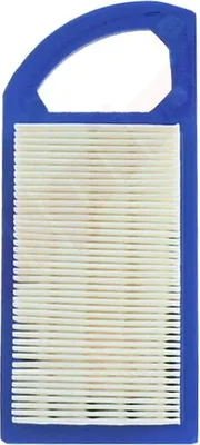 Image de Filtre à air Pour Briggs & Stratton ( 613022 , 697152 , 697775 , 698413 ) 184X79X38