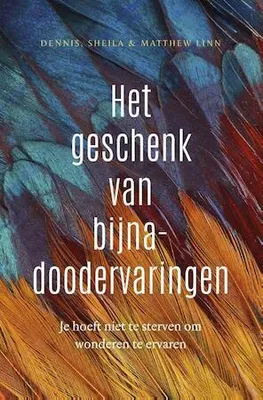 Productafbeelding van Het geschenk van bijna-doodervaringen