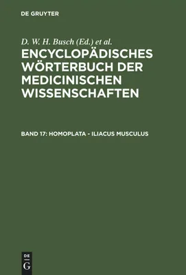 Produktbild von Anatomisches Modell der Serie Homoplata - Iliacus musculus für Studium und Lehre