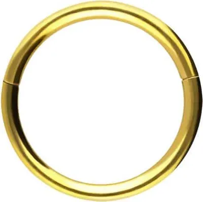 Produktbild von Ohrpiercing, Nasenpiercing, Septum Piercing Chirurgenstahl Segmentring Clicker Gold Innendurchmesser: 7mm + Stabstärke: 0,8mm