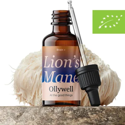 Zdjęcie produktu dla Lion's Mane Premium - Polski Ekstrakt z Soplówki Jeżowatej 10:1 w Kroplach - Pamięć, Koncentracja, Jasność Umysłu | Organiczny