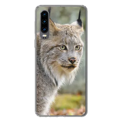 Produktbild von MuchoWow® Handyhülle Schutzhülle Hülle für Huawei P30 Luchs - Wald - Grau Silikon Softcase Handy Hülle - Kartenbesitzer