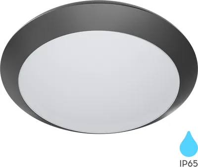 Produktbild von Braytron Deckenleuchte Deckenlampe Deckenlicht E27 Grau Eingang Flur Außenbereich modern