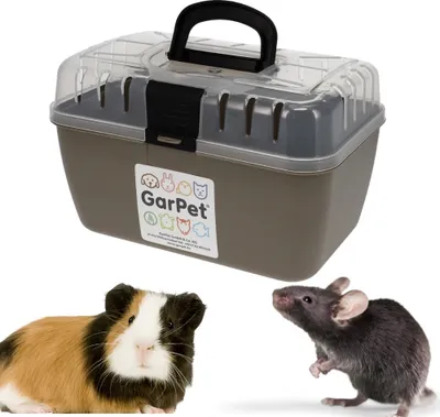 Produktbild von Transportbox Kleintier Meerschweinchen Hamster Vogel Mäuse Nagetier Tiertransportbox Trage Box Reisebox Kleintiertransportbox Transportkiste
