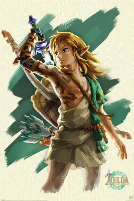 Immagine prodotto di The Legend of Zelda - Link Unleashed - Stampa poster 61x91,5 cm