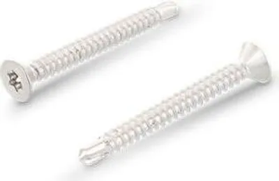 Produktbild von Selbstbohrende Schraube DIN 7504 P TX 3,9x19 A2 / Packung 1000 Stück