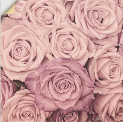 Produktbild von ARTland Wandbild, selbstklebend Rosen Größe: 40x40 cm
