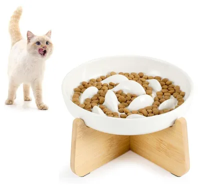 Produktbild von Futternapf Katze Slow Feeder Keramik - Erhöht - Weiß