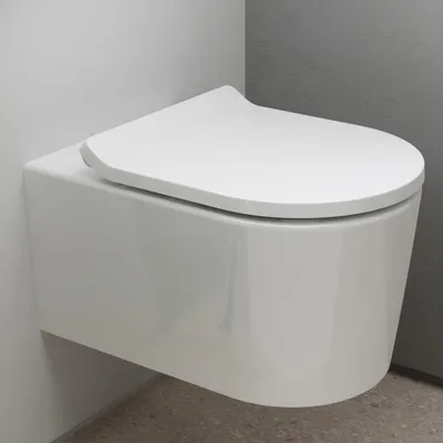 Obrázek produktu pro HANSGROHE 61118450 Závěsné WC EluPura S S 540mm