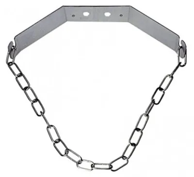 Immagine prodotto di Supporto da parete CO2 2 kg