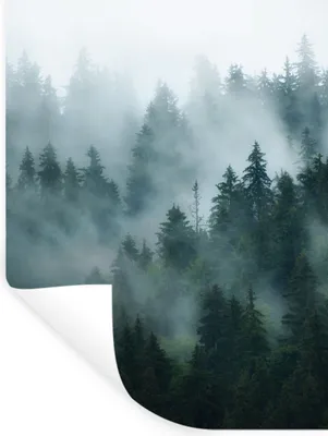 Produktbild von MuchoWow® Wandtattoo Wandsticker Wandaufkleber Nebel - Bäume - Wald 120x160 cm Selbstklebend und Repositionierbar - Wierderverwendbar - Selbstklebend