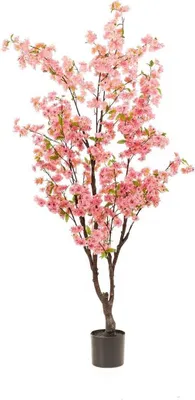 Produktbild von artplants.de Deko Kirschblütenbaum JANKFUN mit Blüten, Kunststamm, rosa, 175cm - Künstlicher Kirschbaum