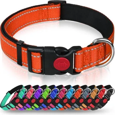 Produktbild von Famanu Hundehalsband mit Sicherheitsverschluss - Verstellbar, Neopren, Orange
