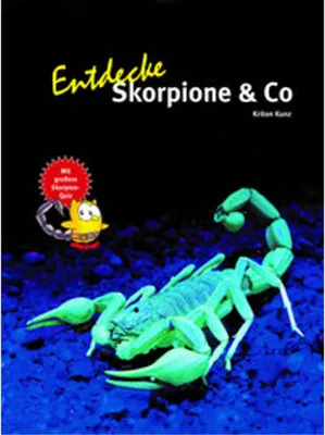 Zdjęcie produktu dla Entdecke die Skorpione