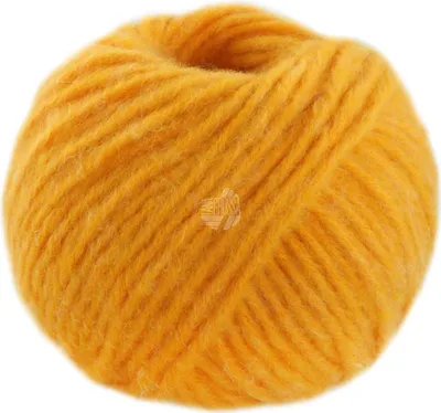Produktbild von Lana Grossa - Ecopuno Chunky 0136 gelb