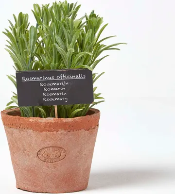 Obrázek produktu pro HOMESCAPES Umělý rozmarýn v květináči