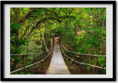Produktbild von Bild - Bilder - Bilderrahmen - 70 cm x 50 cm - MDF-Rahmen, Wandkunst Hängebrücke
