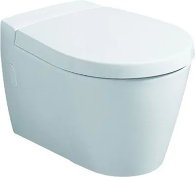 A white wall-mounted toilet with the lid closed, shown from a front-side angle against a white background.