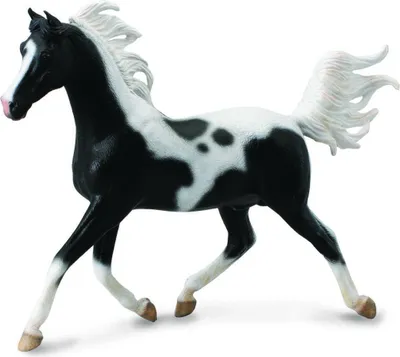 Produktbild von Hengst Halbaraber Pinto - Tierfigur
